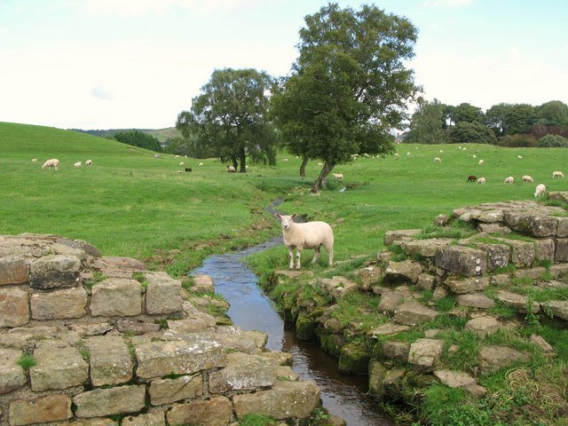 Hadrian’s Wall: Rome’s Greatest Engineering Feat or a 73-Mile Confession of Failure?