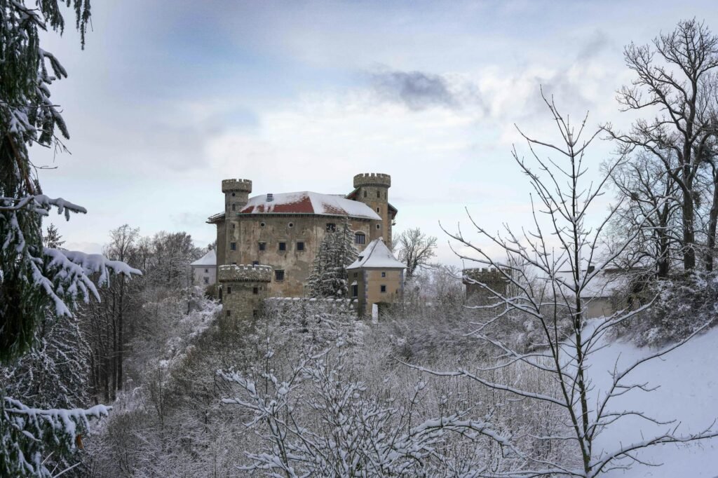 The Last Winter of the Plantagenets